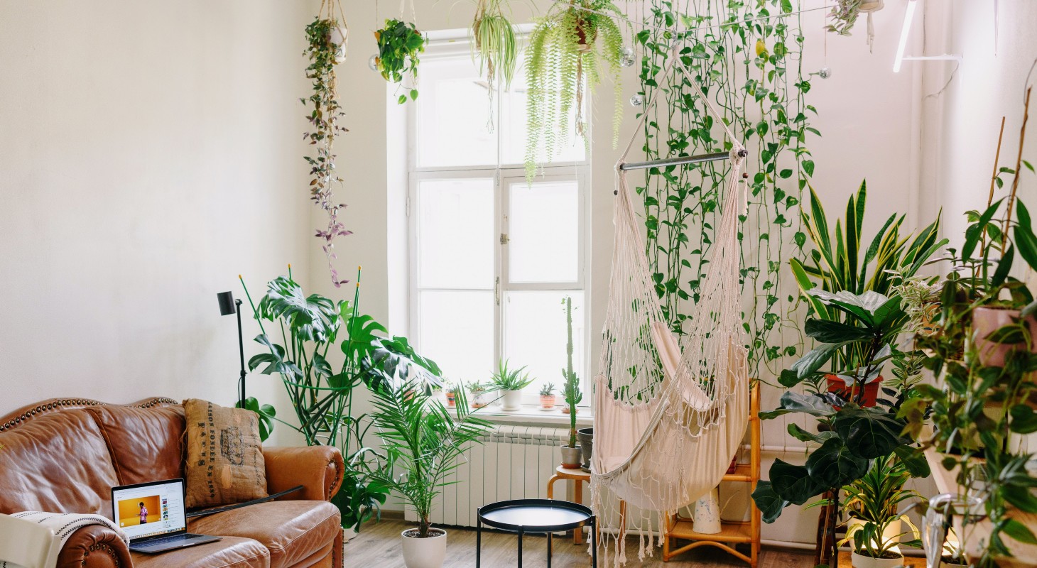 soggiorno in stile vintage con piante