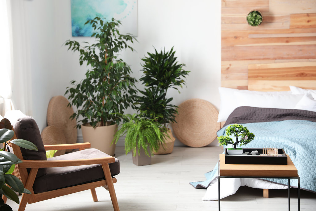 uitzicht op een mooie feng shui natuur kamer met planten overal geplaatst. een comfortabele fauteuil en een zen tuin met een bonsai boom geplaatst op een kleine salontafel. de sfeer is zen en natuur dankzij de planten en het hout accenten.