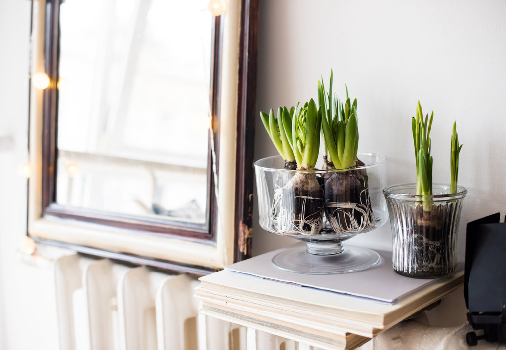 een spiegel, planten en boeken zitten als decoratie op een witte radiator