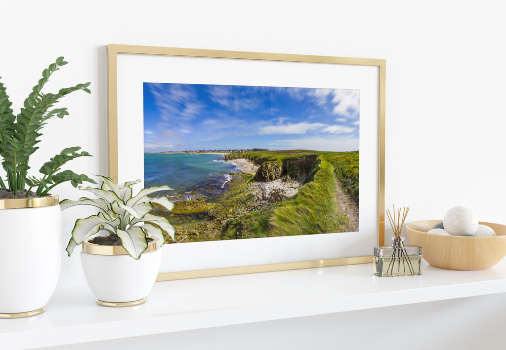 picture framing how-to. potplanten, decoratieve elementen en een ingelijste foto worden op een witte plank geplaatst